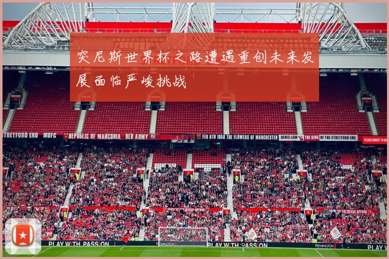 突尼斯世界杯之路遭遇重创未来发展面临严峻挑战